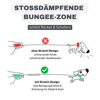 Bungee-Hundeleine mit Hüftgurt – Für freie Hände & volle Kontrolle