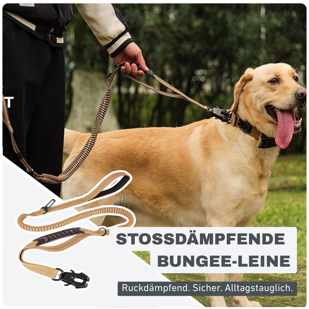 Stoßdämpfende Bungee-Leine mit Sicherheitsgurt – Für sichere Kontrolle unterwegs
