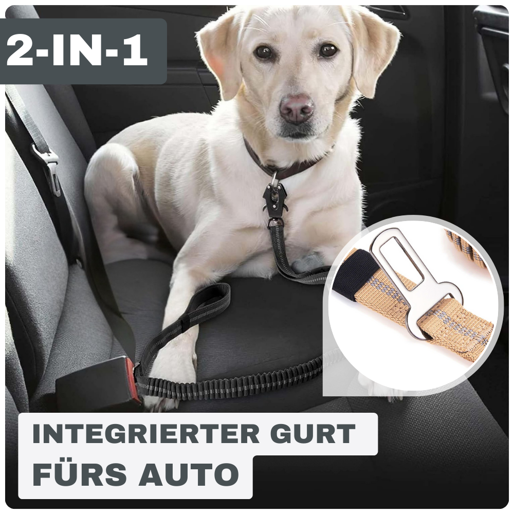 Stoßdämpfende Bungee-Leine mit Sicherheitsgurt – Für sichere Kontrolle unterwegs