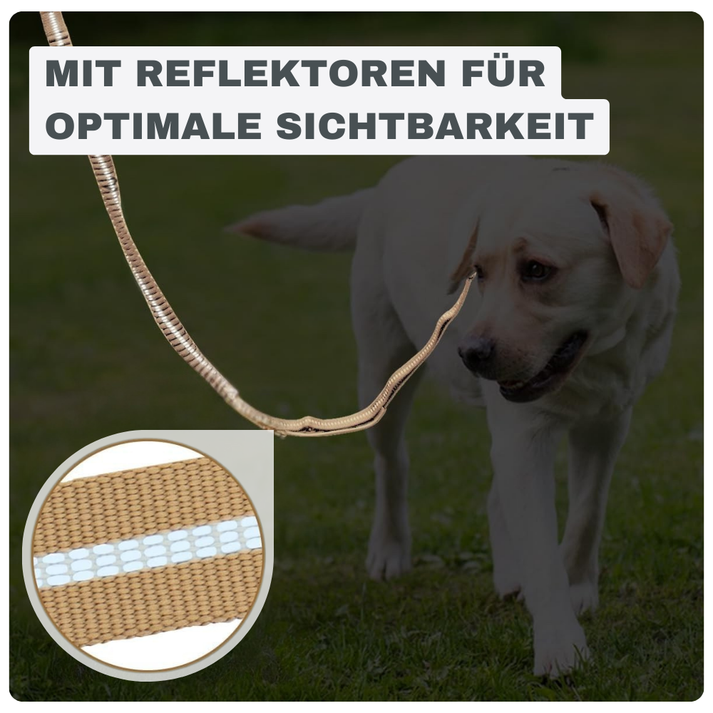 Stoßdämpfende Bungee-Leine mit Sicherheitsgurt – Für sichere Kontrolle unterwegs