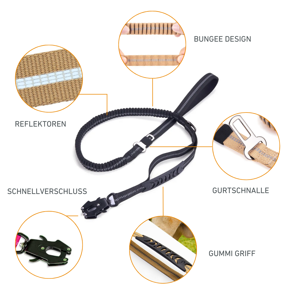 Stoßdämpfende Bungee-Leine mit Sicherheitsgurt – Für sichere Kontrolle unterwegs