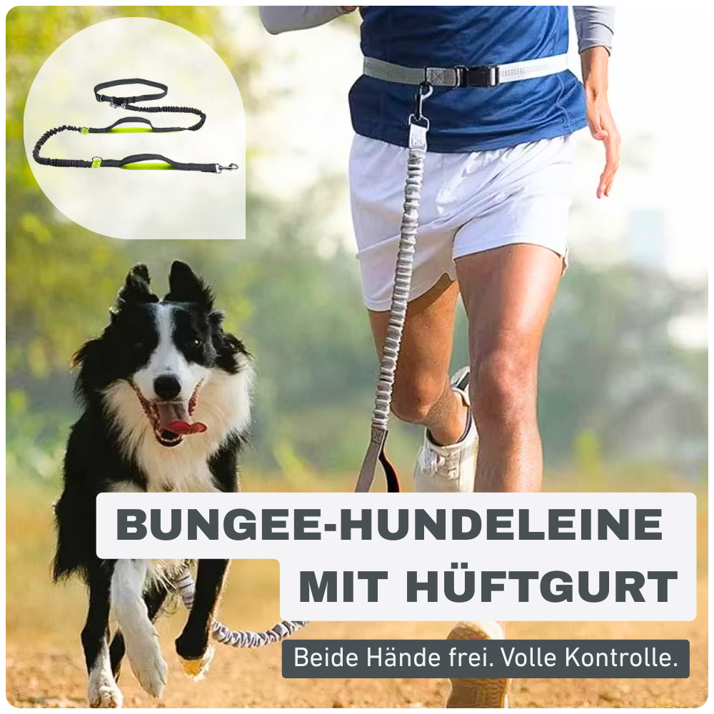 Bungee-Hundeleine mit Hüftgurt – Für freie Hände & volle Kontrolle