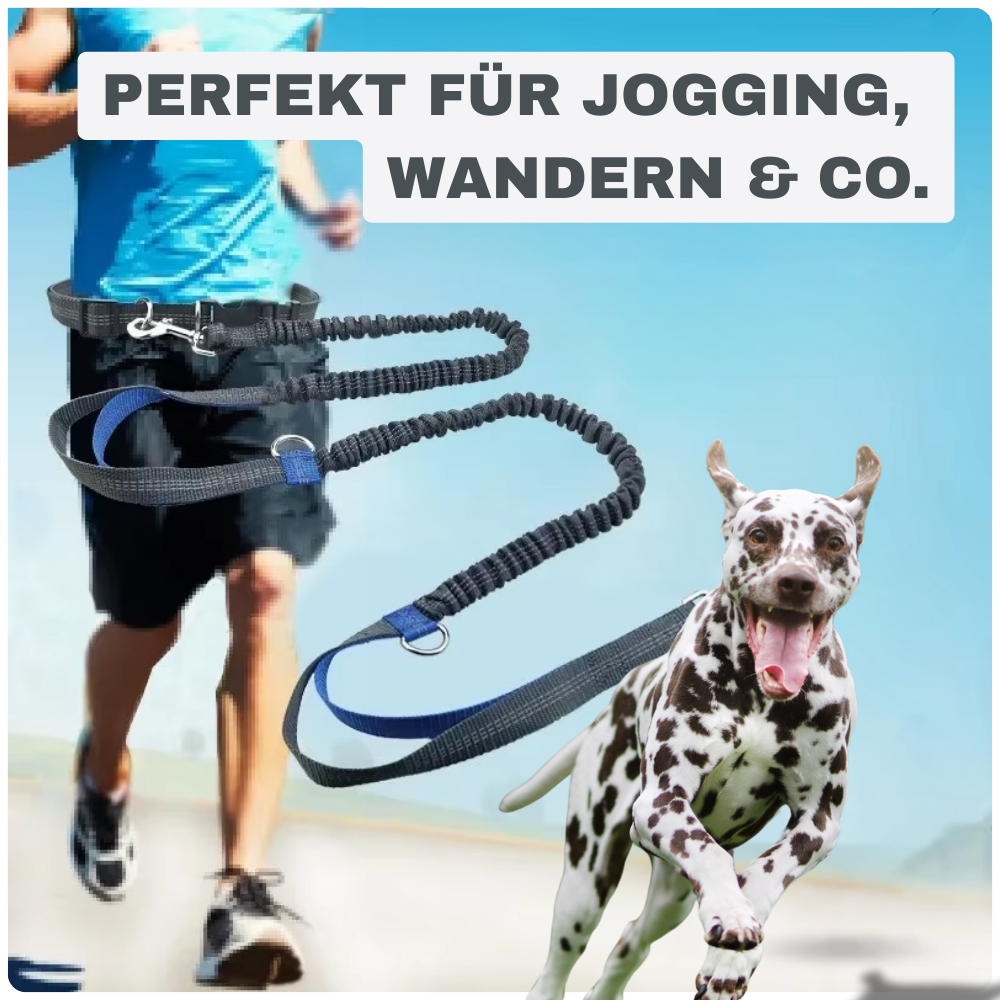 Bungee-Hundeleine mit Hüftgurt – Für freie Hände & volle Kontrolle