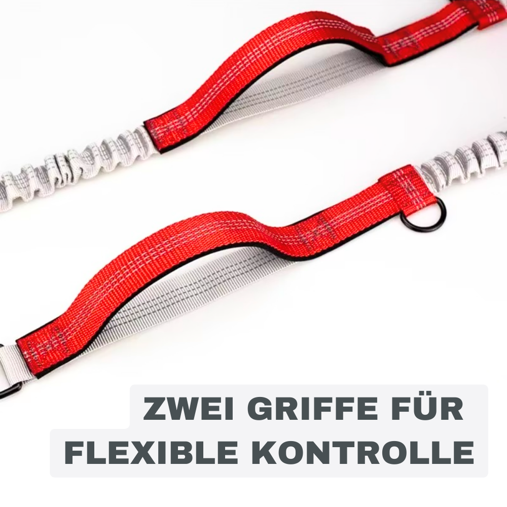 Bungee-Hundeleine mit Hüftgurt – Für freie Hände & volle Kontrolle
