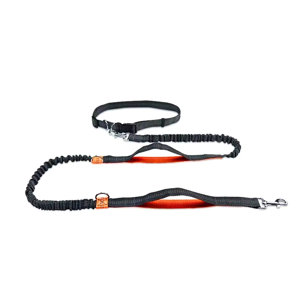 Bungee-Hundeleine 1,8–2,3 M – Stoßdämpfend, Reflektierend Mit 2 Griffen Für Große Hunde, Neopren-Polsterung