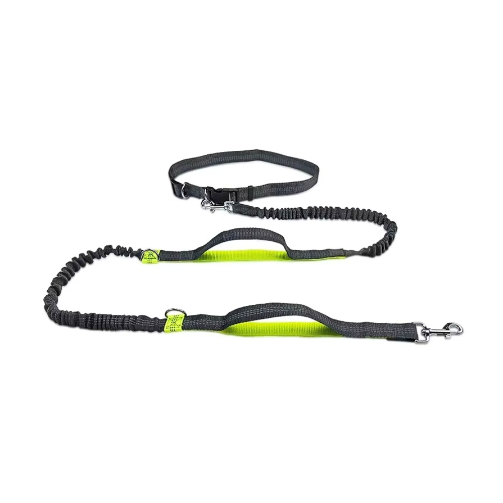 Bungee-Hundeleine mit Hüftgurt – Für freie Hände & volle Kontrolle