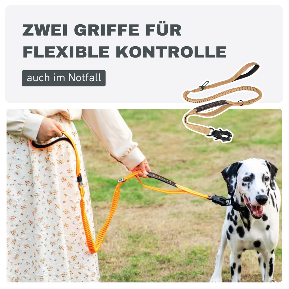 Southpaw Bungee Hundeleine – Stoßdämpfend, 1,2-2,1 M, Mit Gepolstertem Griff | Reflektierend, Anti-Zug, Für Große Hunde