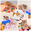 Pompon Ballwerfer für Katzen – Interaktives Spielset für Spass & Aktivität
