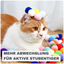 Pompon Ballwerfer für Katzen – Interaktives Spielset für Spass & Aktivität