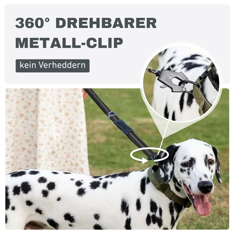 Stoßdämpfende Bungee-Leine mit Sicherheitsgurt – Für sichere Kontrolle unterwegs