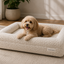 Tiermoment Premium Hundebett – Memory Foam & Bouclé