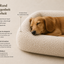 Tiermoment Premium Hundebett – Memory Foam & Bouclé