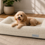 Tiermoment Orthopädisches Hundebett – Memory Foam und Bouclé